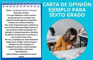 carta de opinión sexto grado