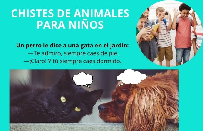 chistes para niños sobre animales