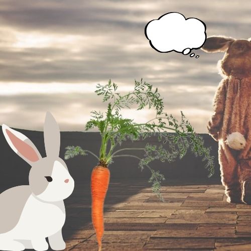 conejo zanahoria