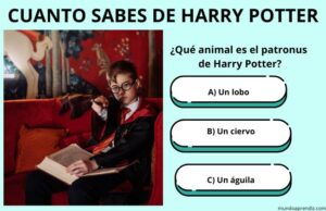 cuanto sabes de harry potter