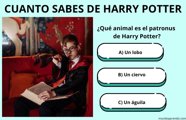 cuanto sabes de harry potter