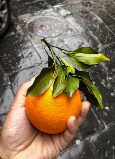 adivinanza de naranja