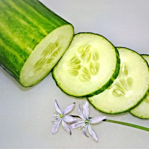 adivinanza pepino